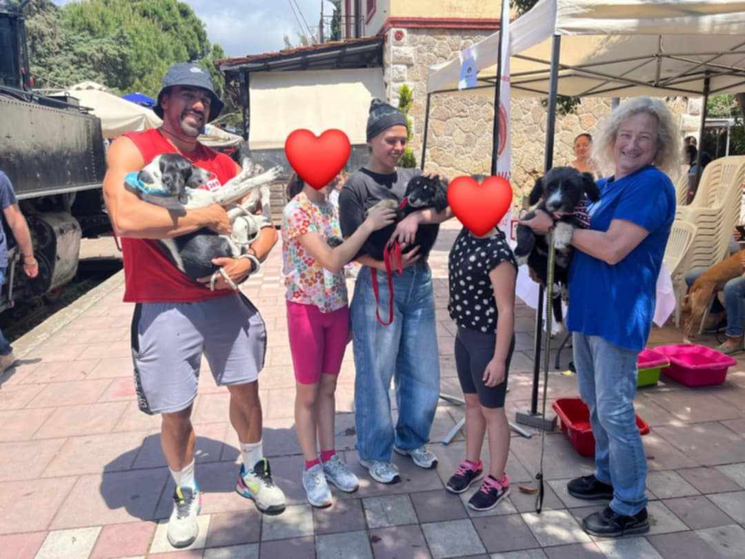 δραση φιλοζωικος ανθοκομική 1