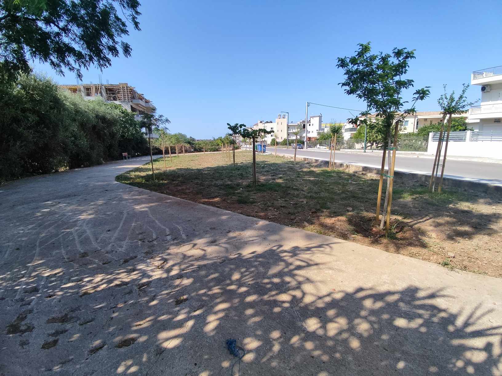 παρκοτσεπηςχρυσανθεμων4