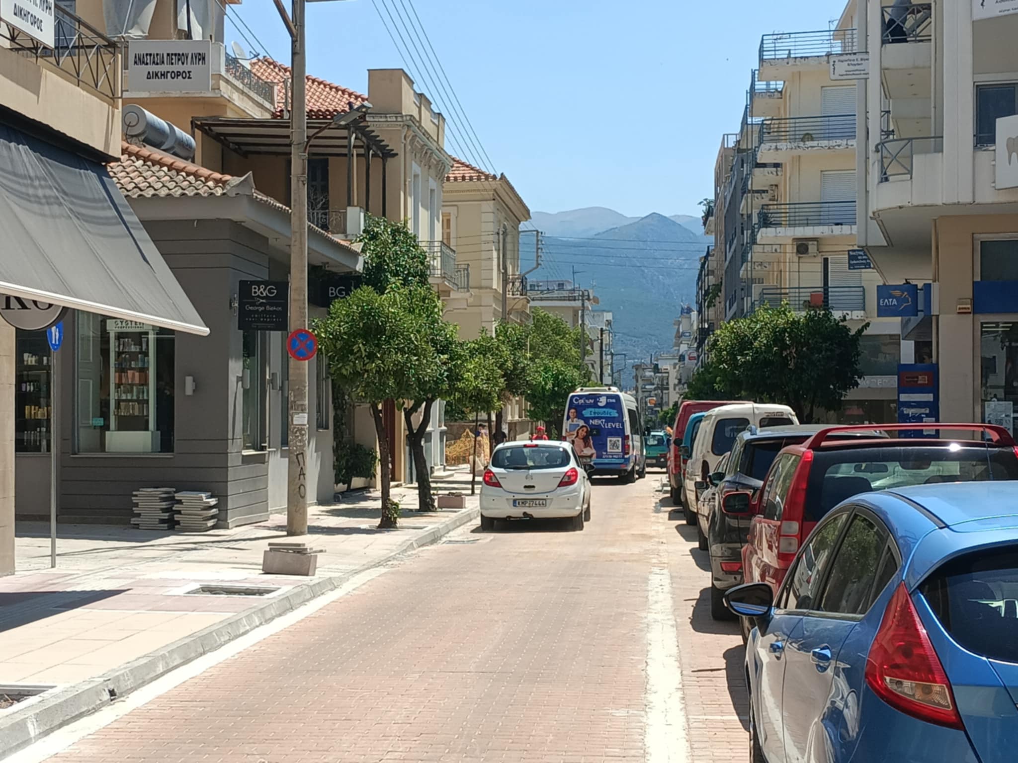 anaplasi vas olgas 1