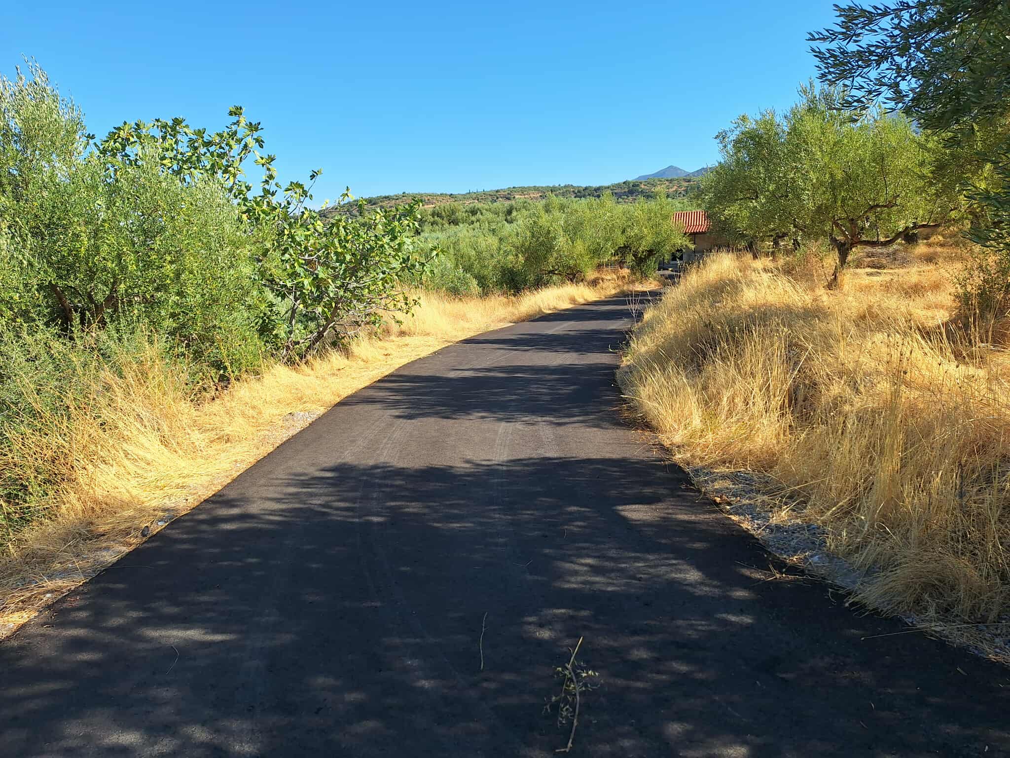 ασφαλτοστρωση αρχαια θουρια 02