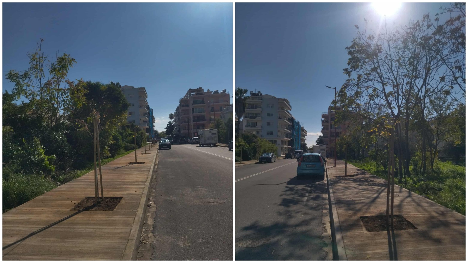 photo12112025collage